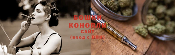 мдпв Волосово