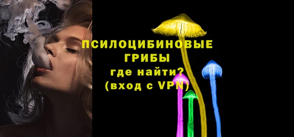 дживик Белоозёрский