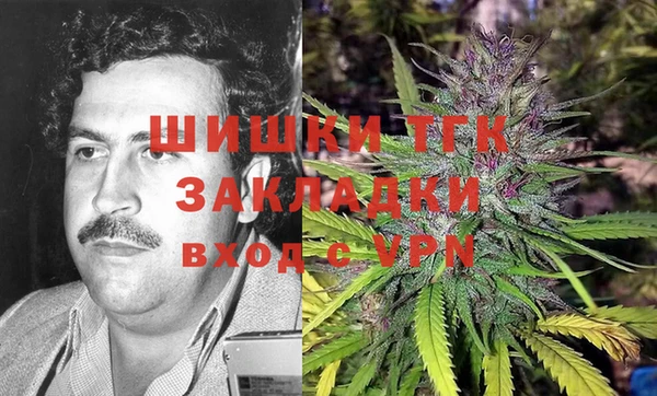 мдпв Волоколамск