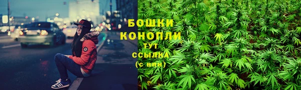 трава Бронницы