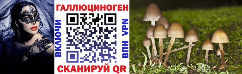 Галлюциногенные грибы Psilocybe  Волгореченск 