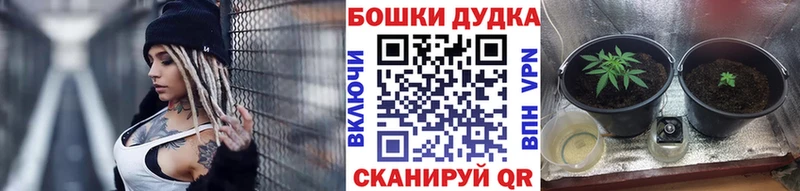 дарнет шоп kraken как войти Конопля SATIVA & INDICA Волгореченск